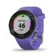 garminforerunner45smorado