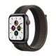 applewatchsegris