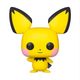 pichu579