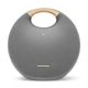 harmanonyxstudio6gris