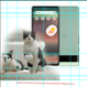 googlepixel6a128gbverde