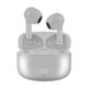 stfaudifonosaurumplata