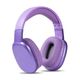stfaudifonosaurummorado