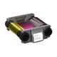 evolis100cintabadgycolor